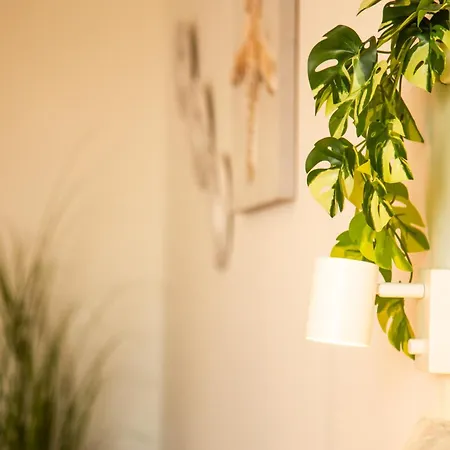 Jandia Sunrise, Your Sweet 莫罗德哈布雷