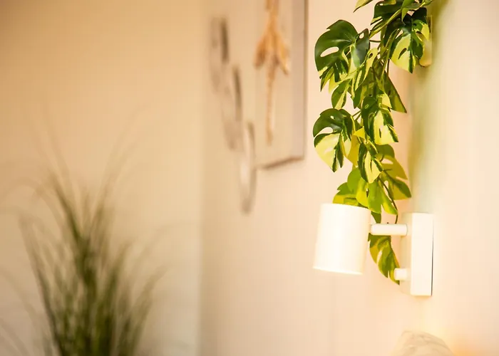 Jandia Sunrise, Your Sweet モロ・デル・ハブレ